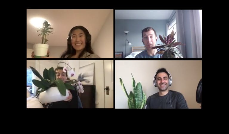 Tour of house plants after game night